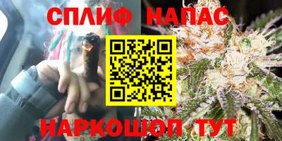 шишки Братск