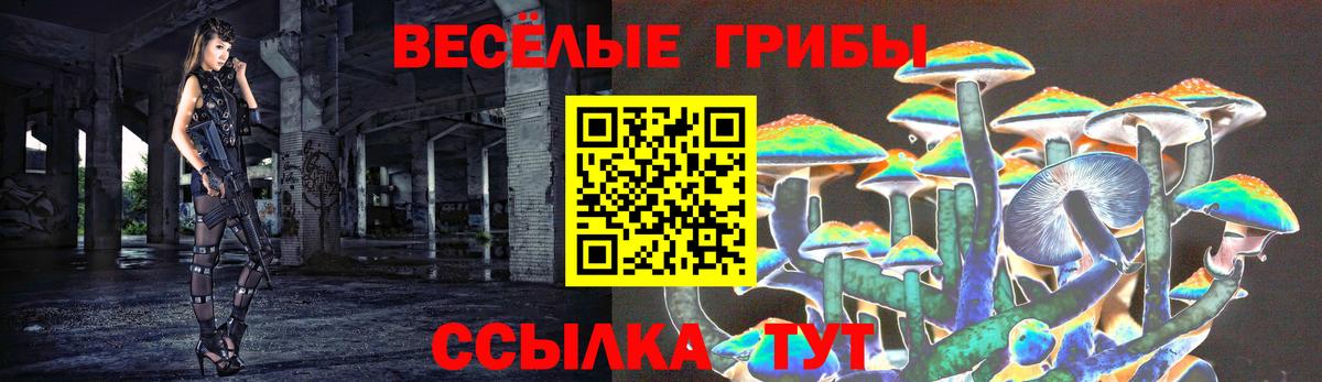 цены наркотик  Вход с VPN  Галлюциногенные грибы Psilocybine cubensis  Дзержинский  Псилоцибиновые грибы Psilocybine cubensis 